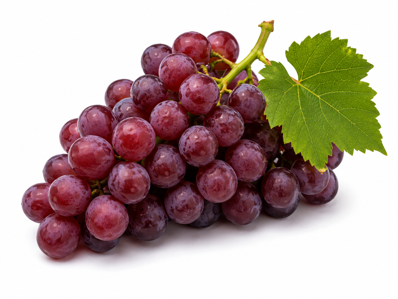 Illustration du mot : RAISIN