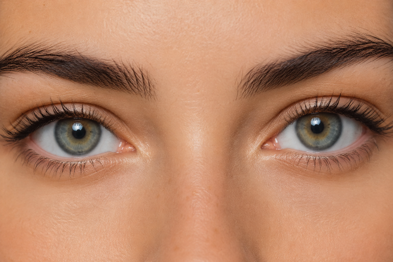 Illustration du mot : YEUX